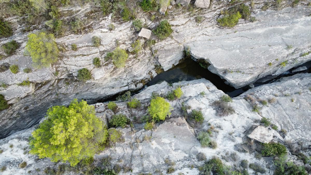 Este cañón fluvial funciona como un verdadero oasis húmedo con una gran biodiversidad