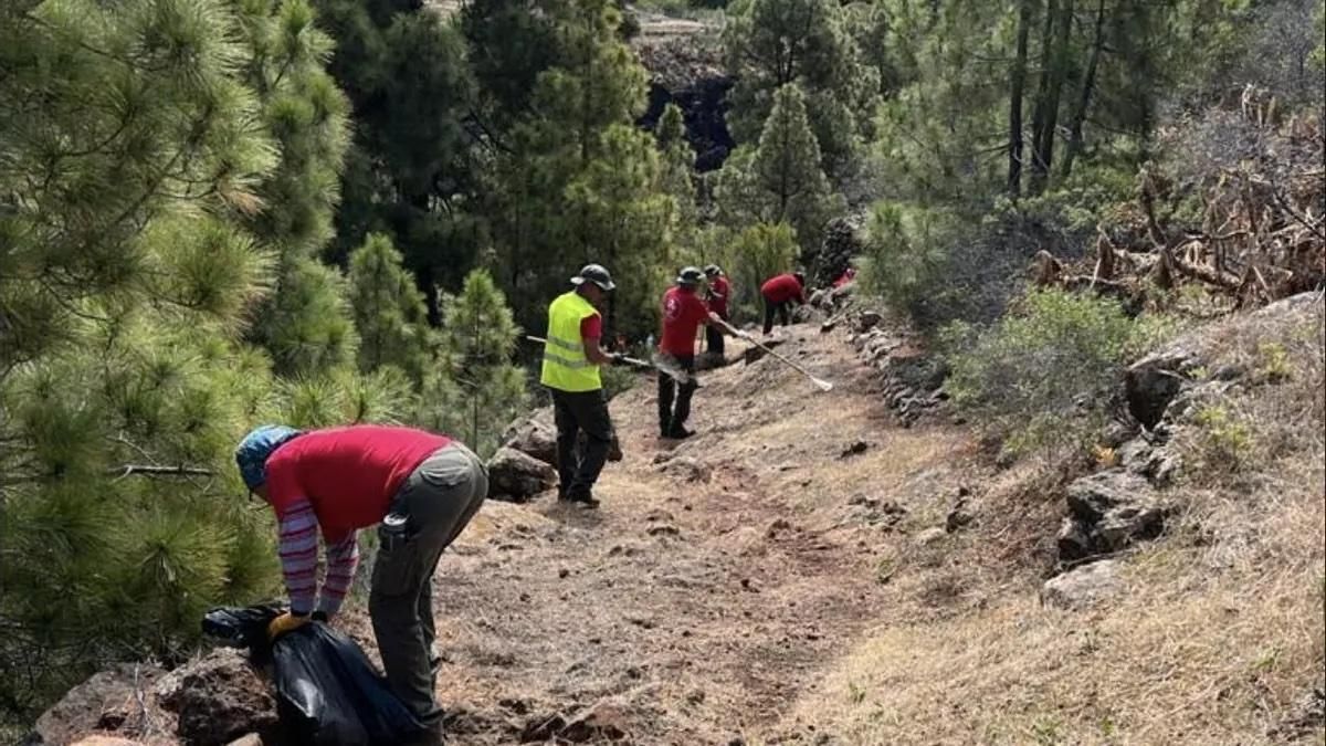 Empleo  asigna a La Palma 4 proyecto de los programas de formación en alternancia  que beneficiarán a 60 personas