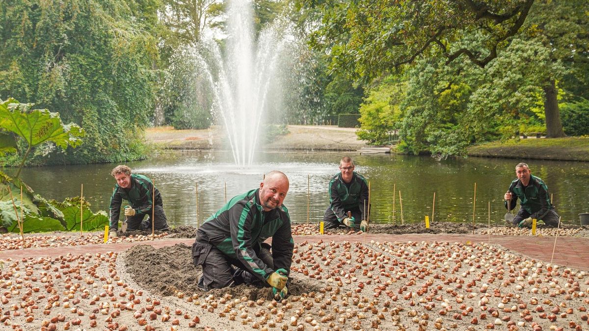 El enorme trabajo de los jardineros de Keukenhof.
