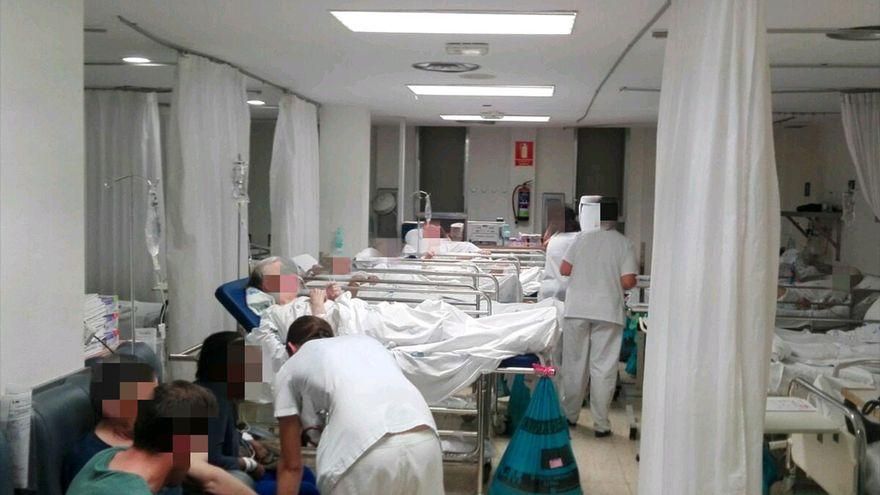 Mascarillas, niños y nicho ecológico: el año de la COVID-19 es el año sin gripe