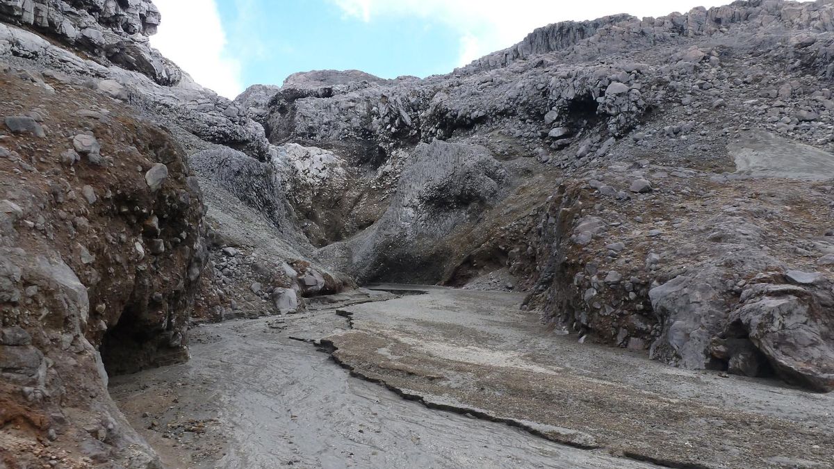 Un viaje al Eje Cafetero de Colombia: el Parque Nacional de Los Nevados