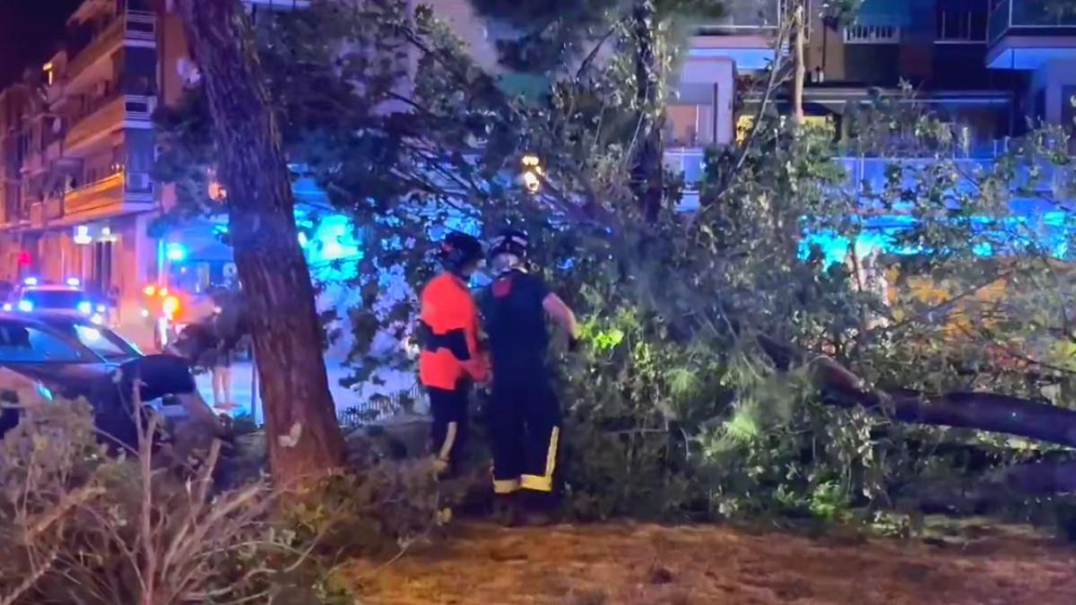 Bomberos trabajando en la retirada de la rama que ha provocado el accidente