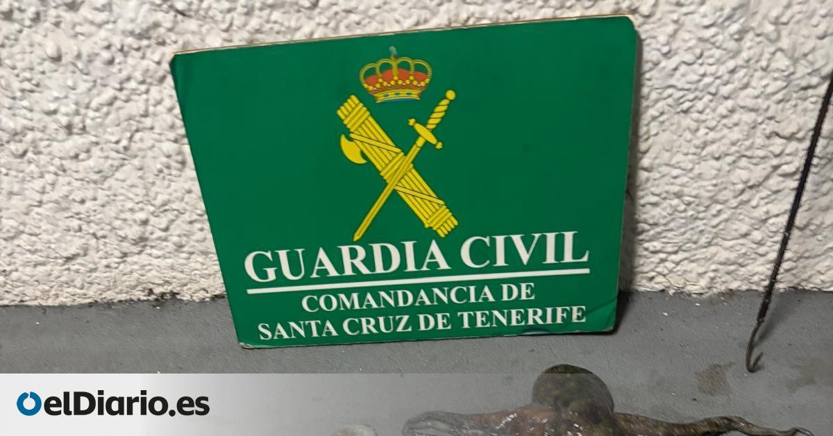 Sorprendido por la Guardia Civil pescando ilegalmente pulpos en la costa de Tenerife
