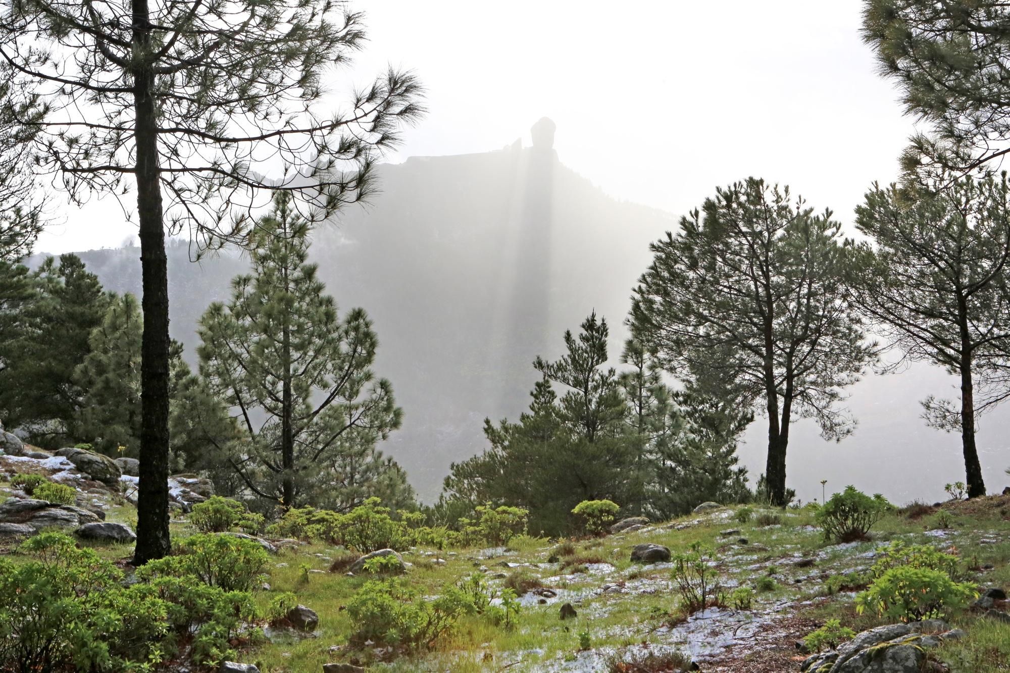 Nieve en El Garañón