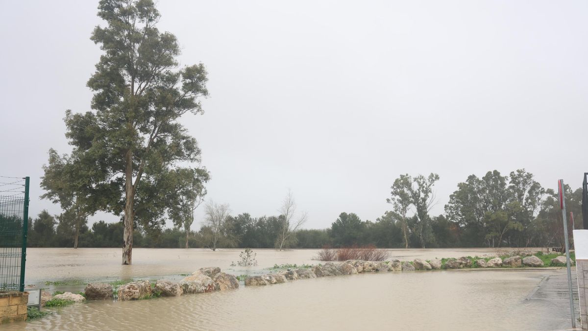 Imagen de la barriada de La Corta en Jerez de la Frontera (Cádiz)inundada tras el desbordamiento del río Guadalete a su paso por la localidad. A 5 de febrero de 2026, en Jerez de la Frontera, Cádiz (Andalucía, España).