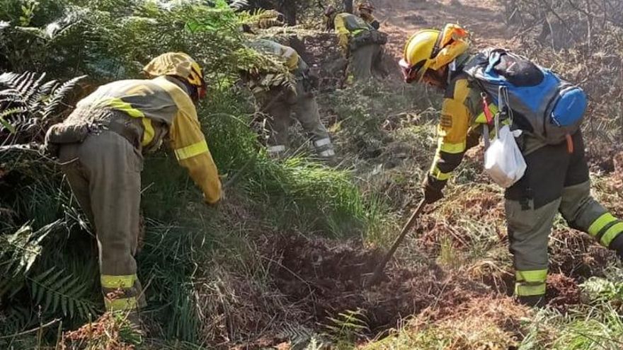 El incendio de la comarca leonesa de Rueda baja a nivel 1 de peligrosidad