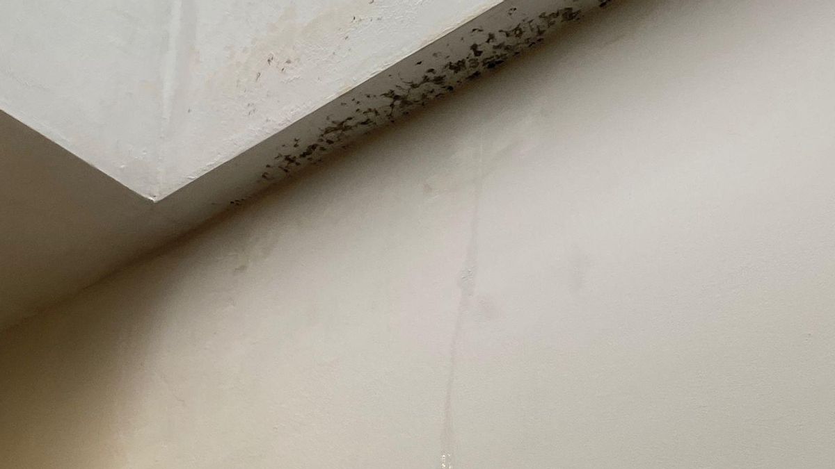 A pesar de denunciar la situación, aún no ha recibido respuesta