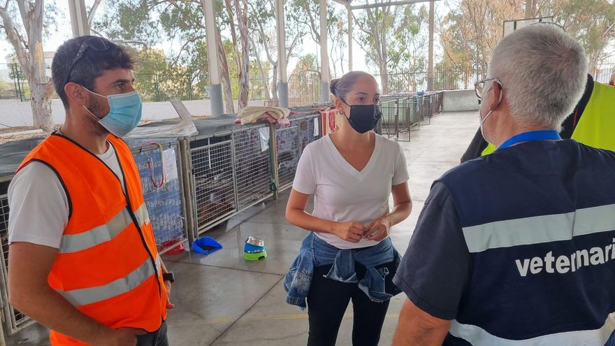 El Cabildo convoca las ayudas para las protectoras de animales de 2021