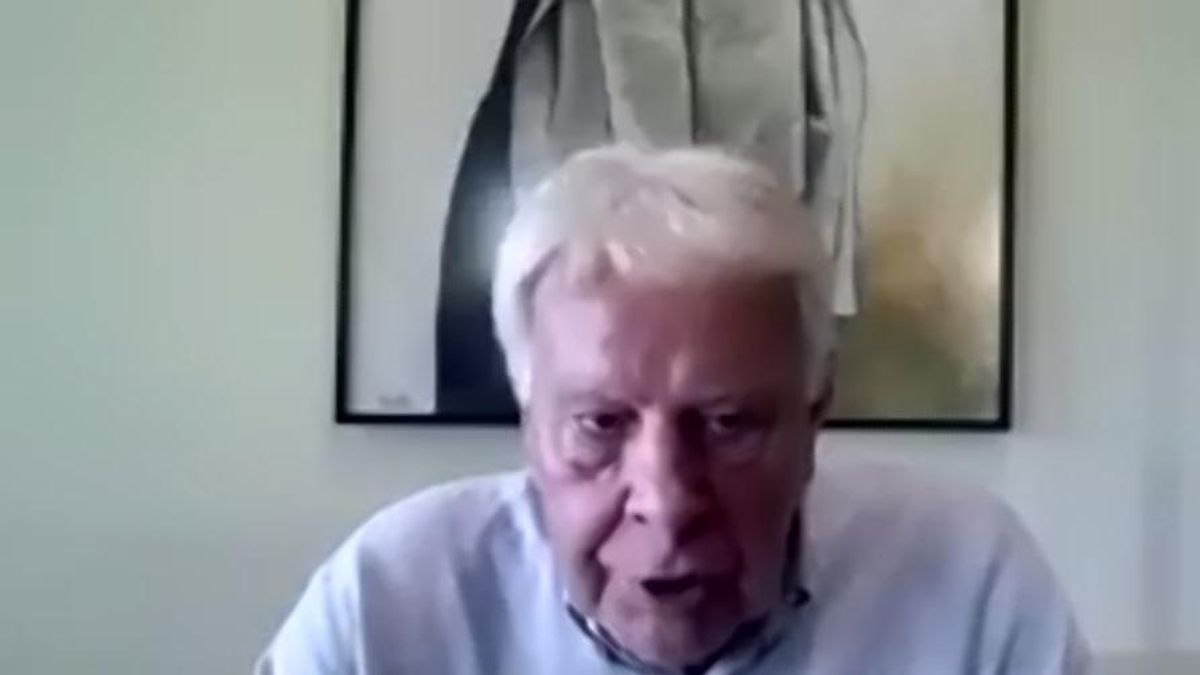 El expresidente del Gobierno Felipe González en su intervención durante la inauguración de las jornadas telemáticas del 30º aniversario de la Fundació Internacional Olof Palme, el 16 de septiembre de 2020