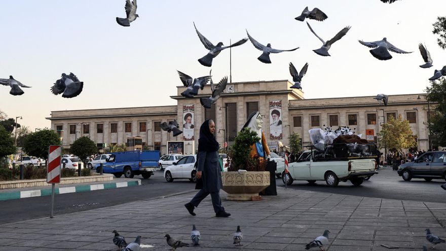 ¿Por qué las aves urbanas se acercan más a hombres que a mujeres si no hay explicación científica?