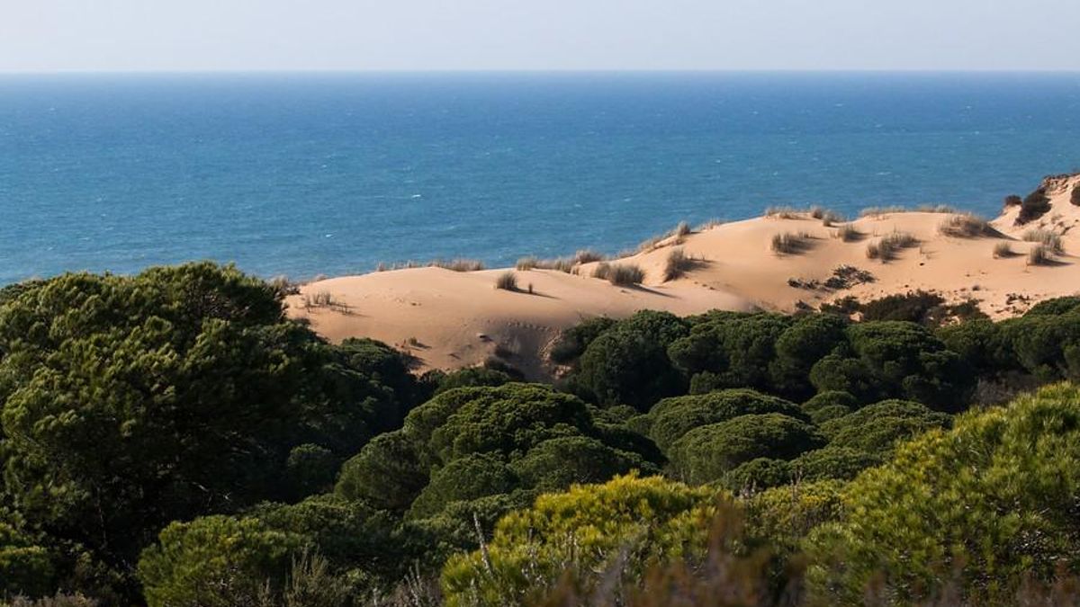El Parque Natural de Doñana