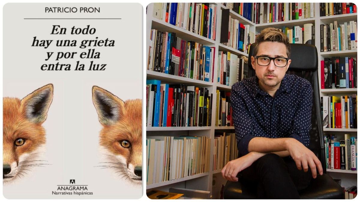 'En todo hay una grieta y por ella entra la luz', de Patricio Pron
