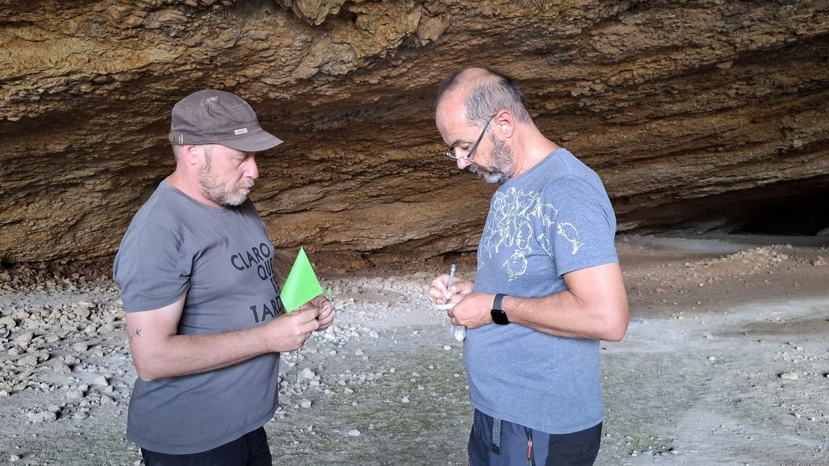 Rafael Domingo analiza uno de los restos proporcionados por un voluntario en la Cueva de Chaves.