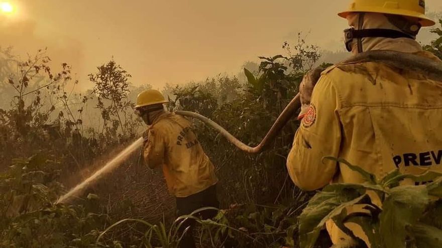 Según un agente de PrevFogo, los datos meteorológicos ya apuntaban a un aumento de los incendios en 2020, pero el gobierno retrasó la contratación de nuevas brigadas.