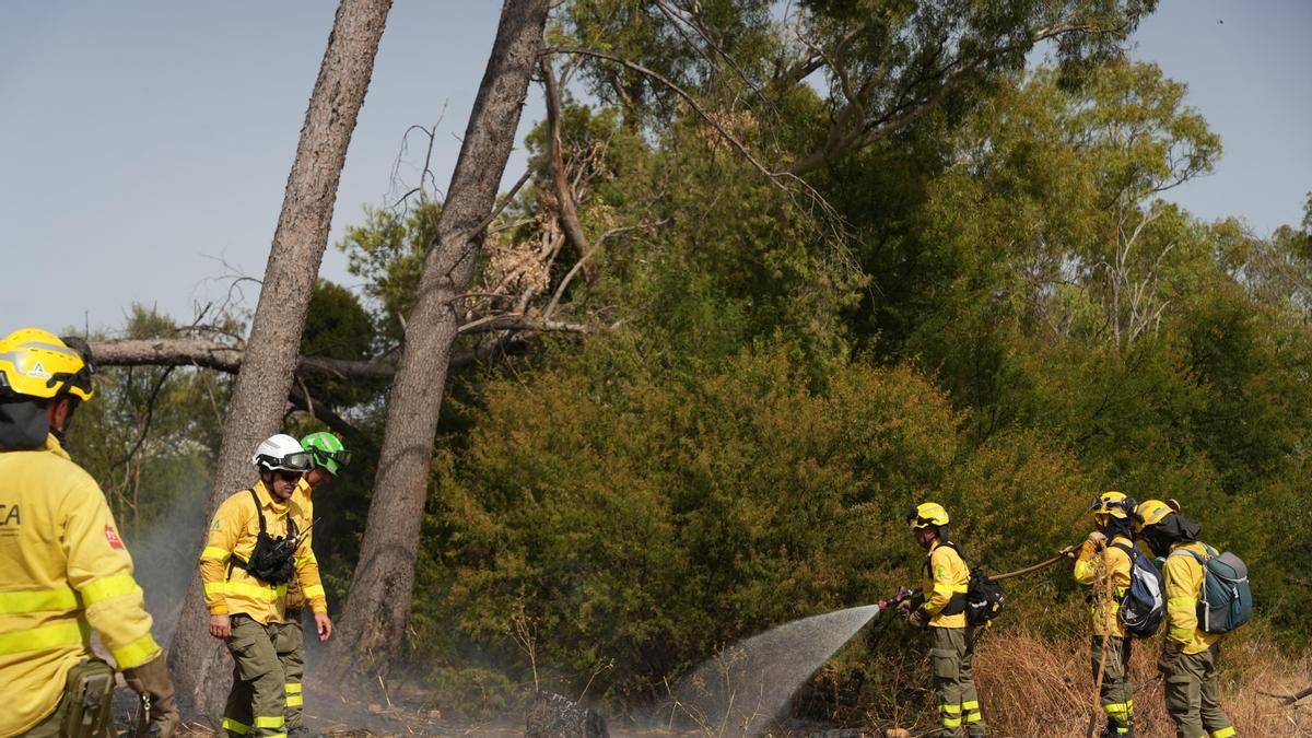 Controlado el incendio en Camas que obligó a movilizar a bomberos de cuatro parques para proteger las viviendas cercanas