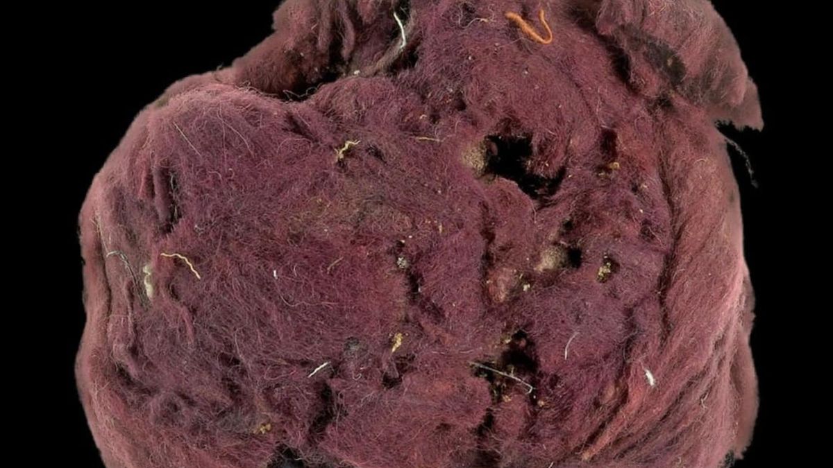 Los tejidos del desierto de Judea revelan que la élite romana vestía púrpura falsificada con tintes vegetales