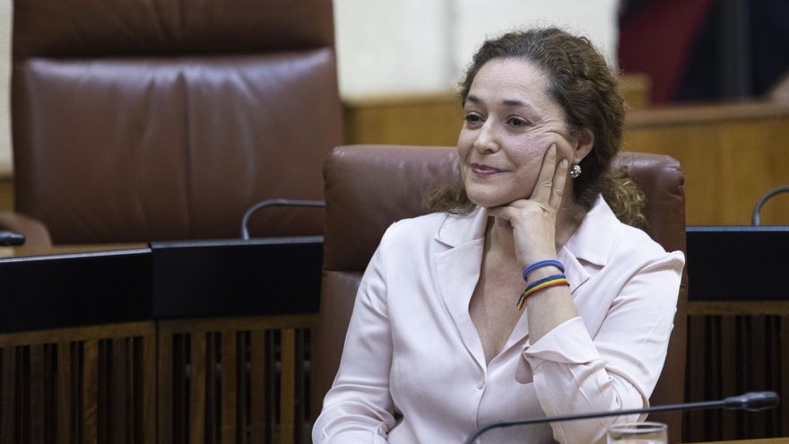 La portavoz del grupo Por Andalucía y diputada de IU, Inmaculada Nieto, en la sesión de control.