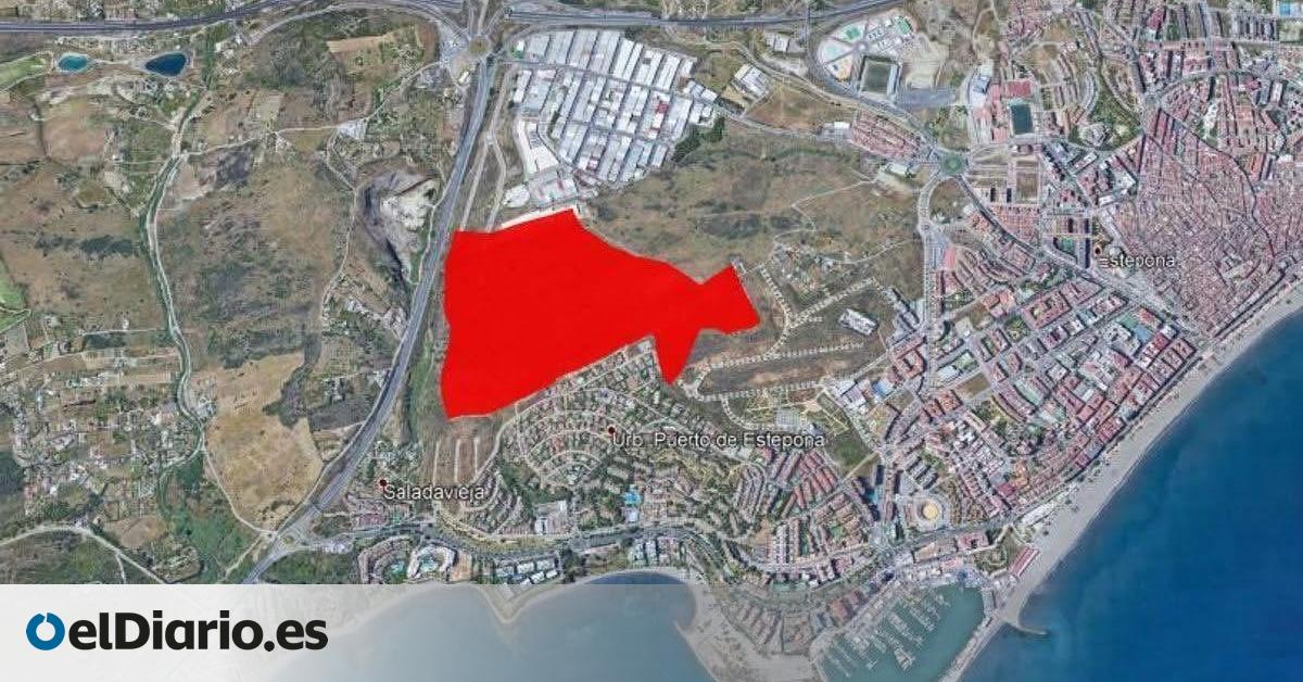 Se vende la gran joya de Estepona: el alcalde impulsa la subasta millonaria del legado destinado a las “mujeres pobres”