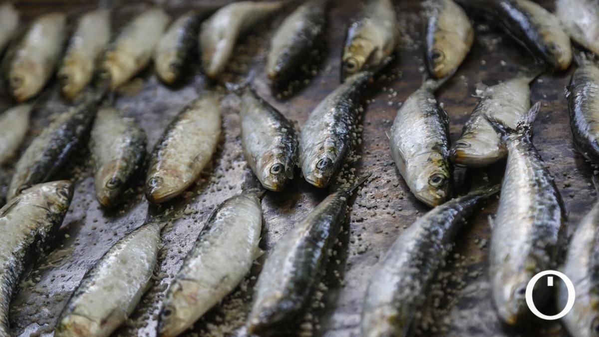 Sardiná en la Velá de la Fuensanta 2025