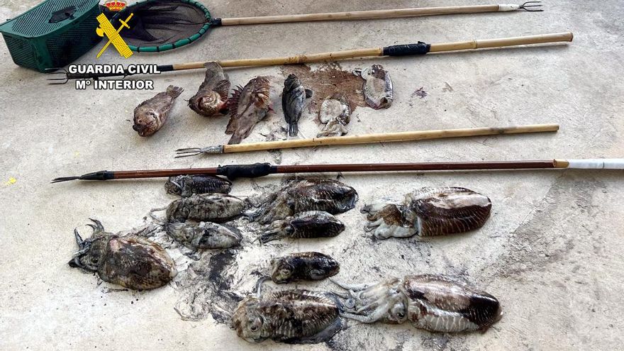 Cachones y cabrachos intervenidos.