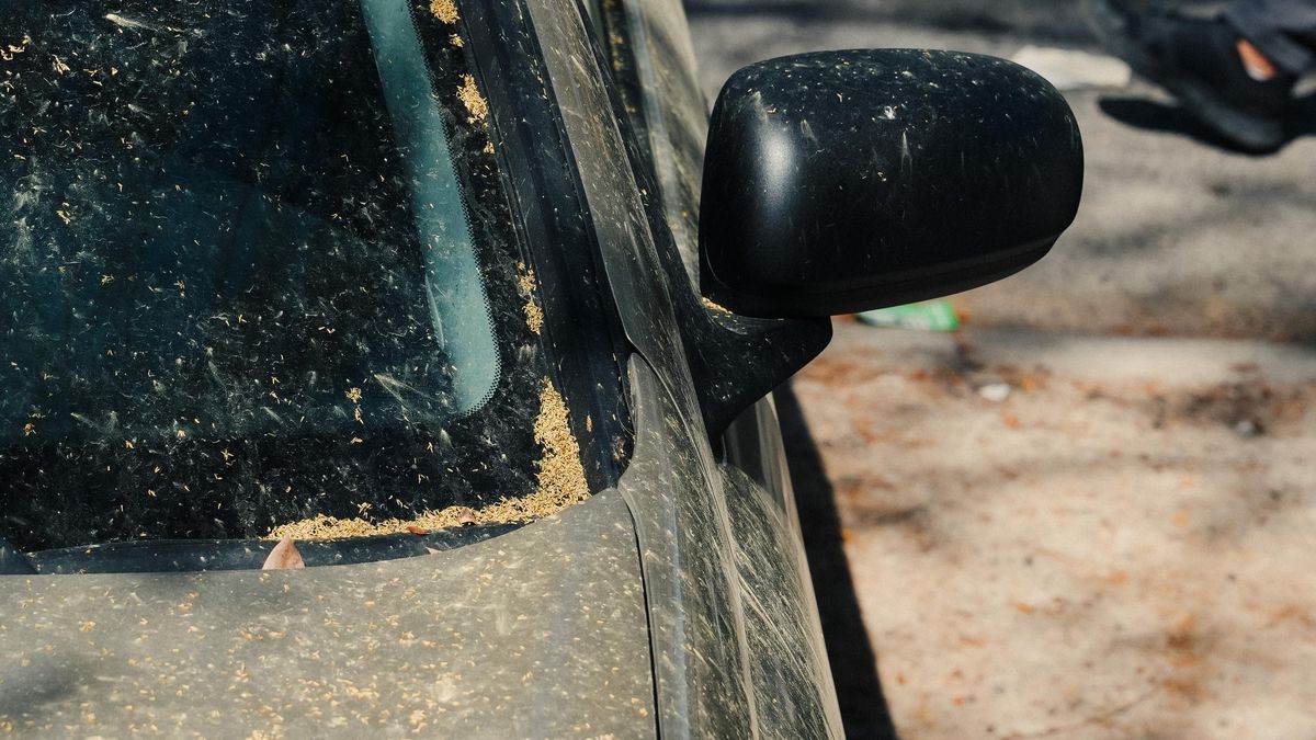 Polen en las calles y coches