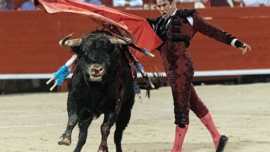 Vox saca a Palma de la lista de "municipios antitaurinos" y pide que los menores puedan asistir a las corridas