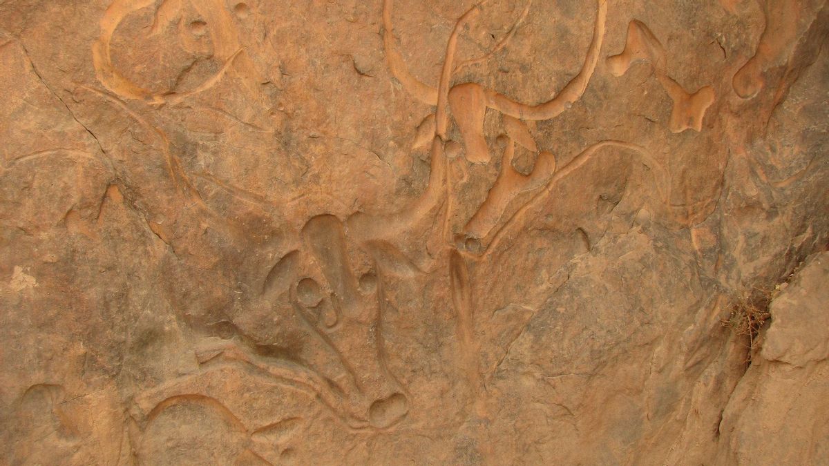Las 'Vacas que lloran' es uno de los petroglifos prehistóricos más importantes del norte de África.