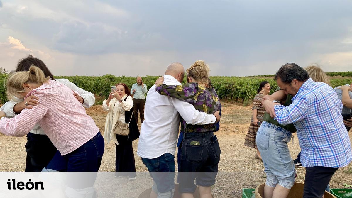 Nace oficialmente la Ruta del Vino de la DO León para su impulso turístico, con cerca de 50 asociados