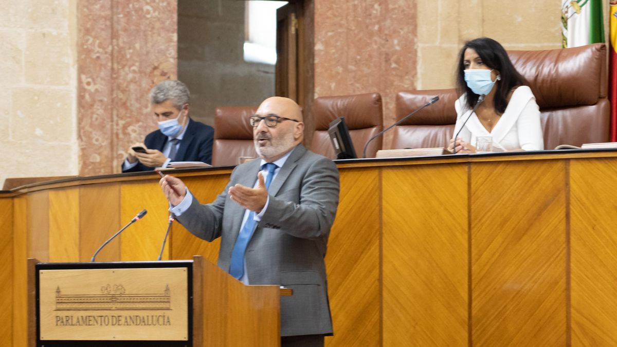 El portavoz parlamentario de Voz, Alejandro Hernández (c) interviene en el Pleno presidido por Marta Bosquet en una imagen de archivo