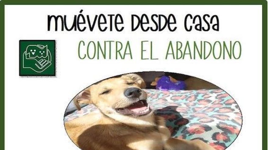 La Protectora de Animales organiza un acto solidario contra el abandono