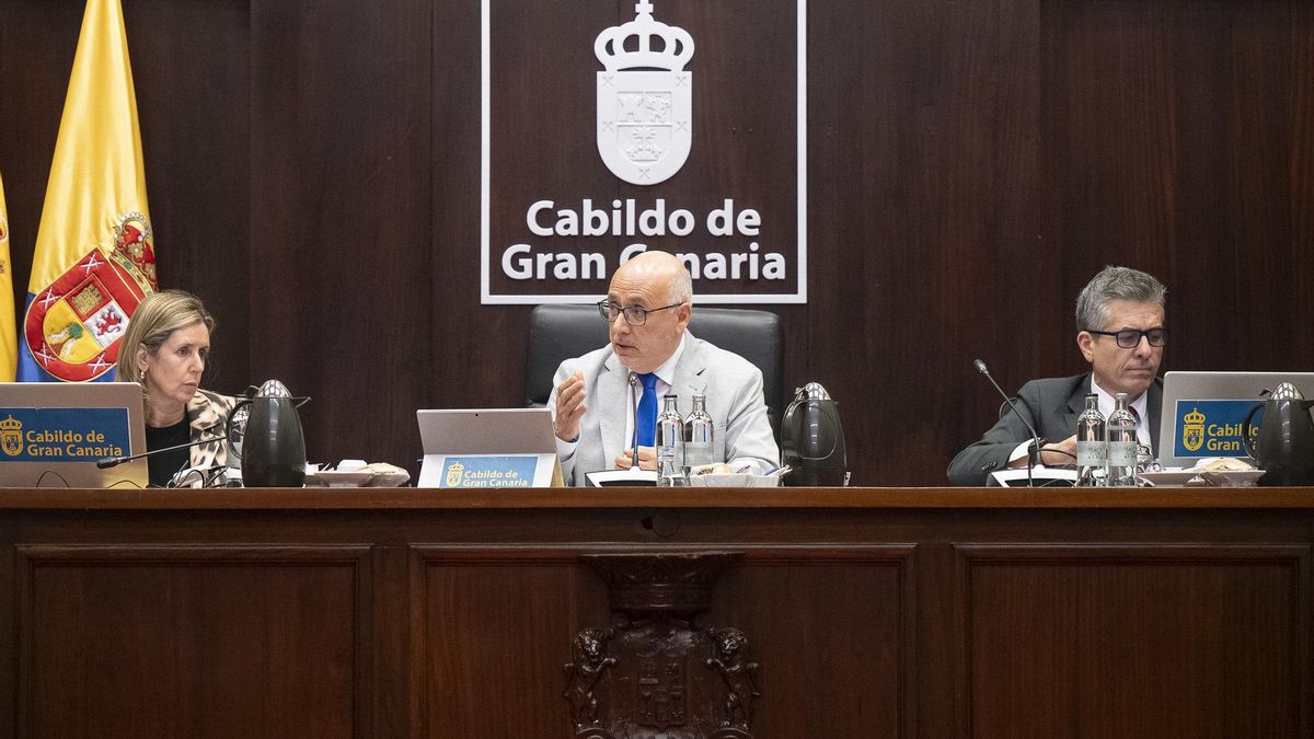 El Cabildo de Gran Canaria aprueba pedir al Gobierno regional reconocer la abeja negra como raza ganadera autóctona