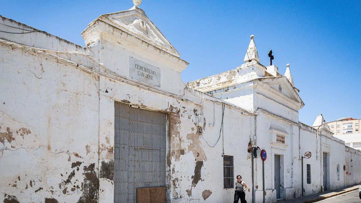 Las obras del antiguo cementerio para transformarlo en un parque han obligado al traslado de la colonia felina