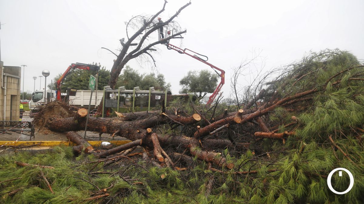 Efectos del tornado en el Hospital Reina Sofía de Córdoba
