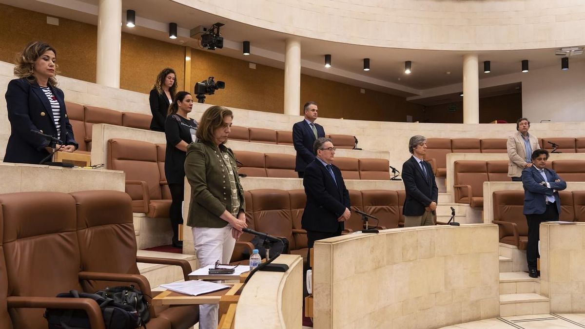 Políticas Sociales y sector de la Dependencia comienzarán a trabajar el martes 12 en la desescalada