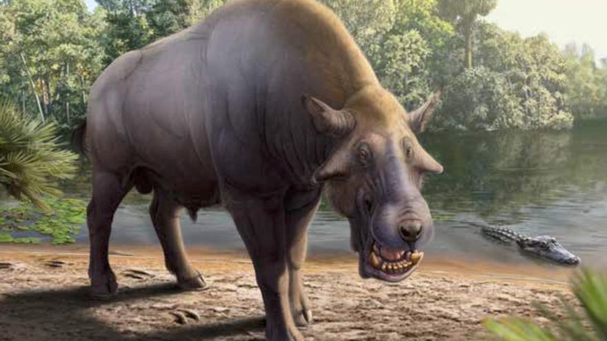 El 'cerdo del infierno' recorrió Catalunya 36 millones de años después de los dinosaurios y dejó su huella en el registro fósil