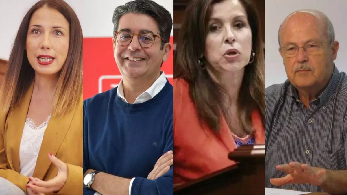 Los socialistas Patricia Hernández, Pedro Martín, Lola Padrón y José Segura