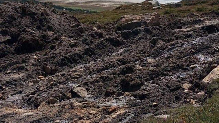 Turberas en El Escudo.