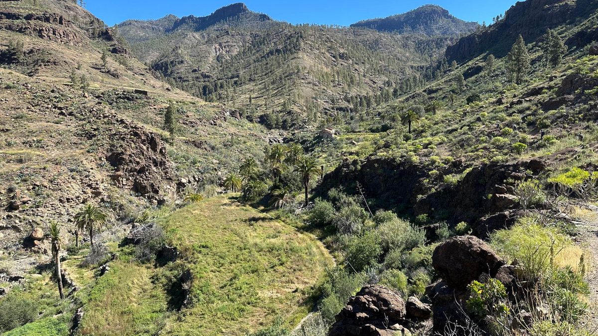 Antiguas terrazas de cultivo en Las Tederas. Al fondo pueden verse las alturas del Parque Natural de Pilancones.