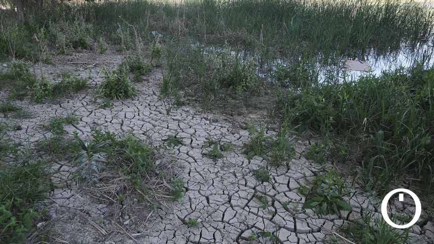 Córdoba cierra uno de los meses de septiembre más secos de los últimos 30 años