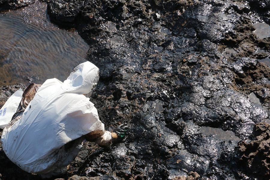 Limpieza de piche en la grancanaria playa de El Cabrón. (Maspalomas Ahora).