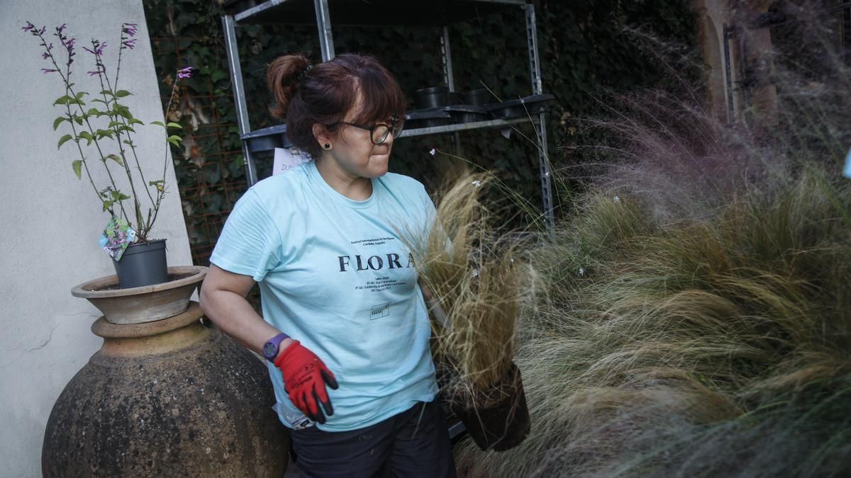 Comienzo del montaje de Flora 2025