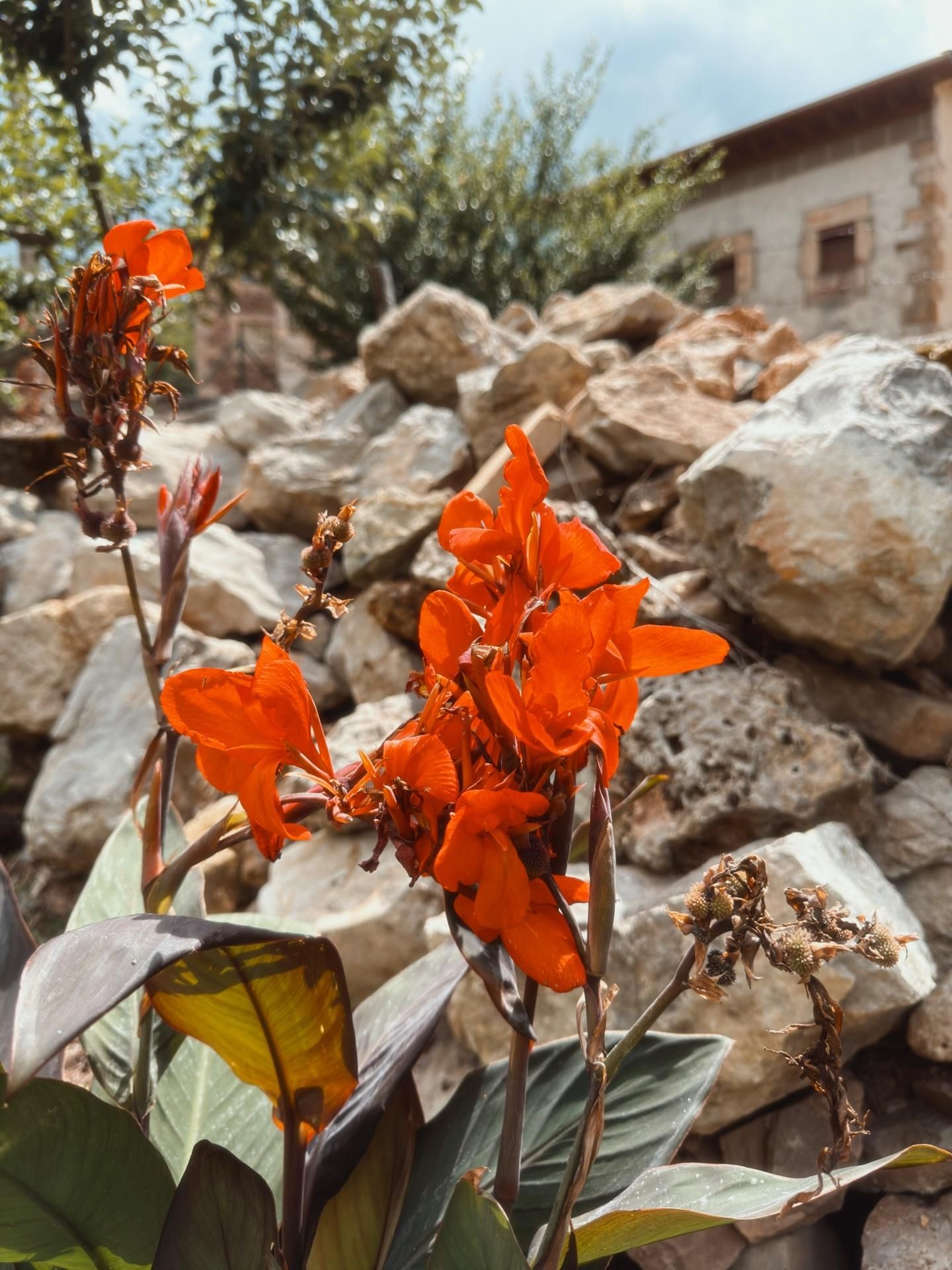 Todas las fotos del concurso 'Disfruta La Rioja' (Parte 1): 120 miradas al verano en nuestra región