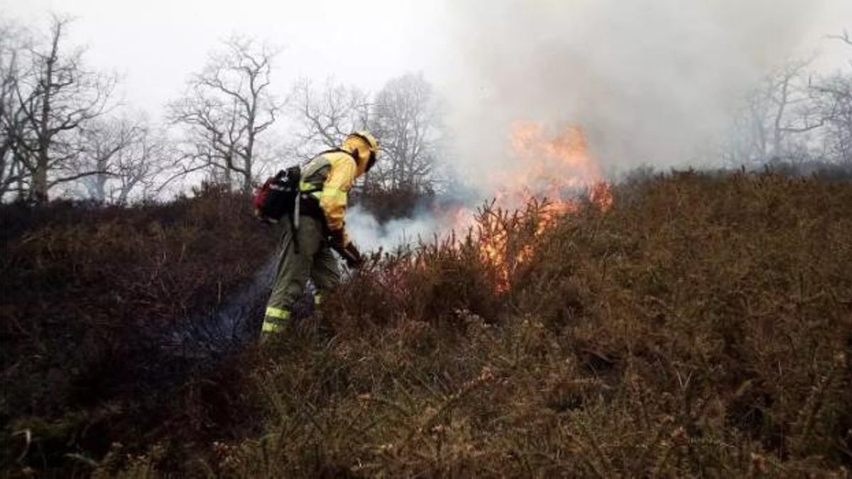 Un bombero trabaja en la extinción de un incendio forestal en Cantabria.