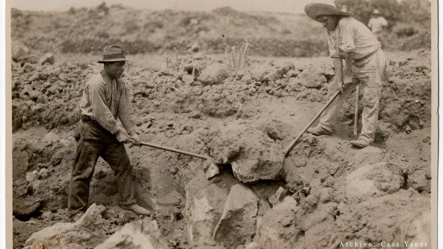 Trabajadores durante la construcción de los muros de mampostería para el cultivo del plátano. (Archivo Casa Yanes).