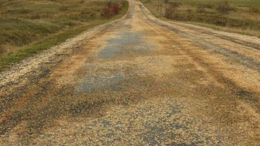 Estado de la carretera en uno de sus tramos.