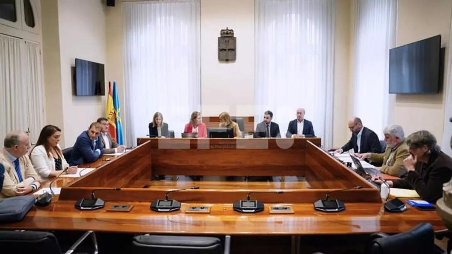 El director general de Gestión Forestal de Asturias niega contactos con empresarios de la mina de Zarréu