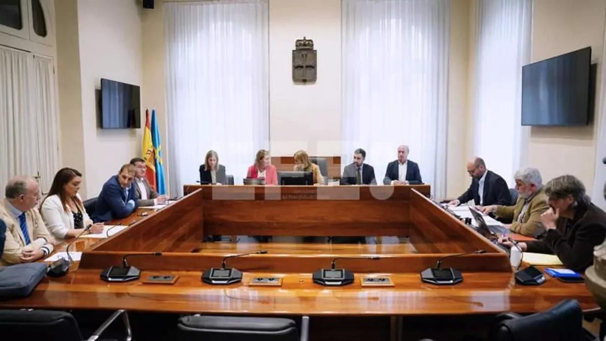 El director general de Gestión Forestal de Asturias niega contactos con empresarios de la mina de Zarréu