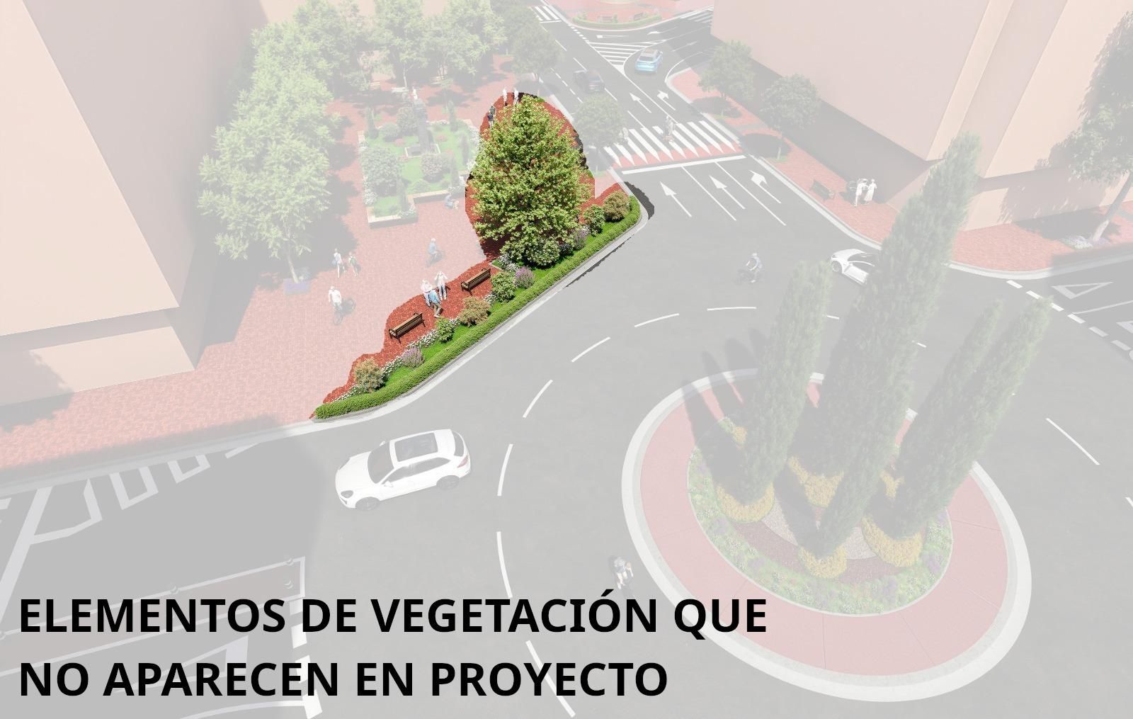 Elementos de la vegetación que según el PSOE se corresponden