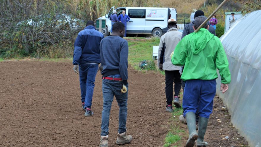 Jóvenes solicitantes de asilo y mayores de la Asociación Lacarra colaboran en el proyecto 'Huertas Amigas'