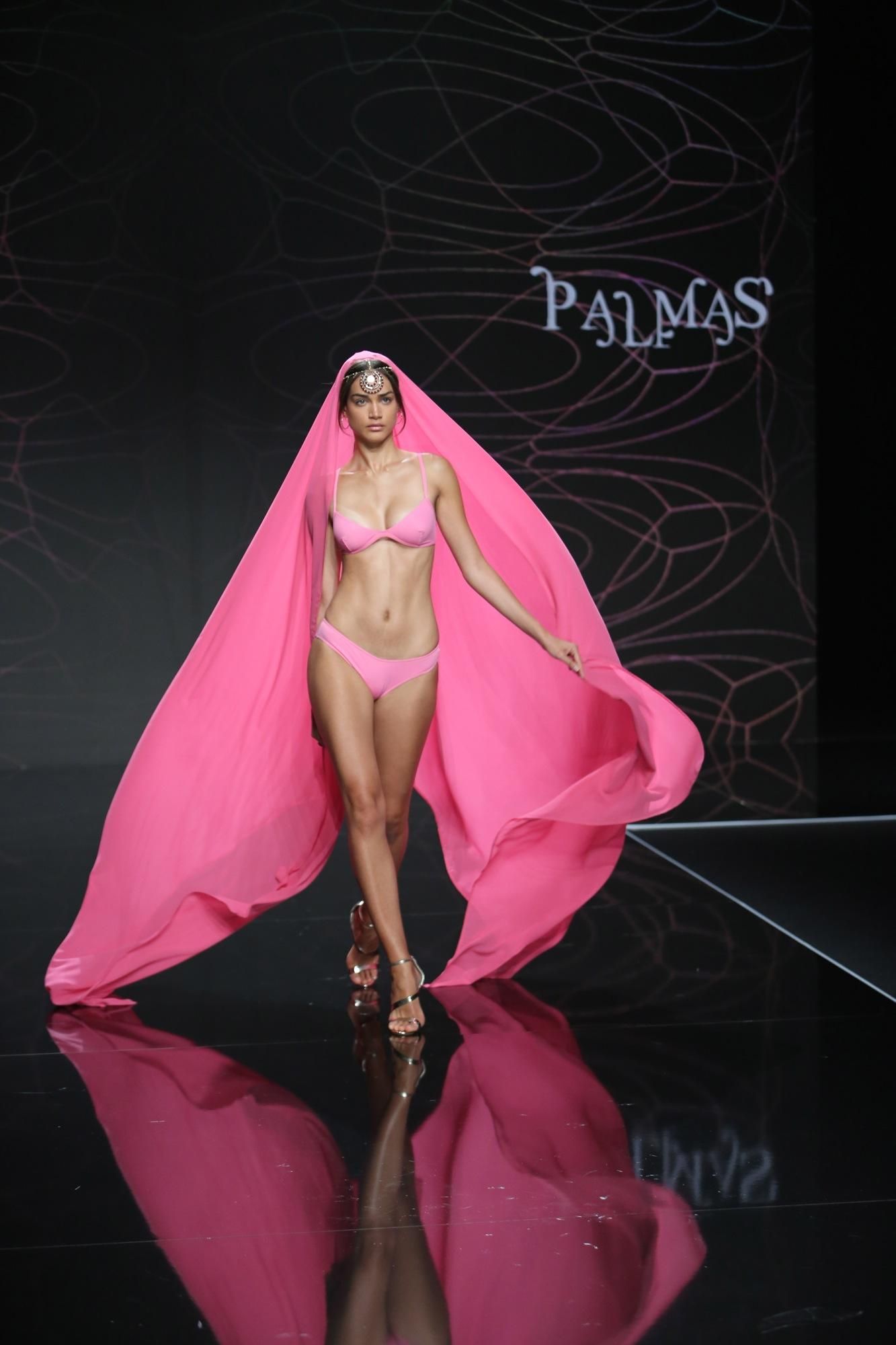 Colección de Palmas en Gran Canaria Moda Cálida